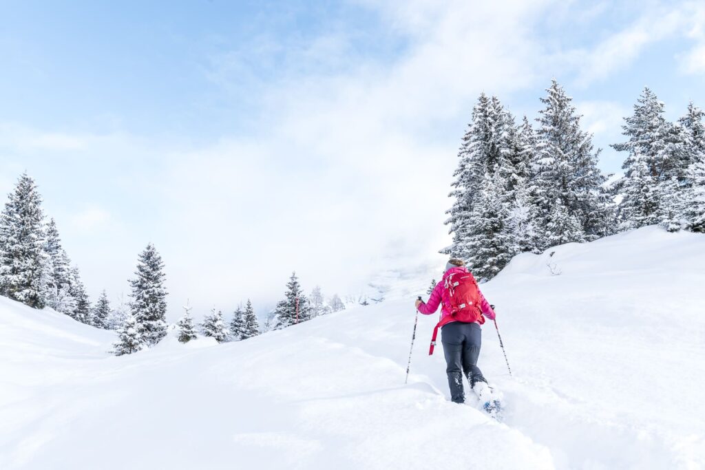 Schneeschuhwandern Arnisee - Hotel Sternen Gurtnellen